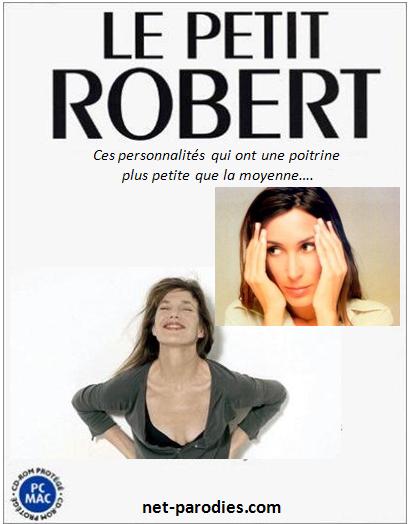 parodie fausse pub dictionnaire le petit robert