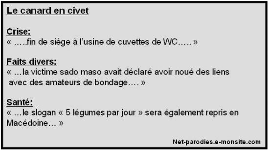 parodie faux article presse canard enchainé.JPG