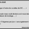 parodie faux article presse canard enchainé.JPG