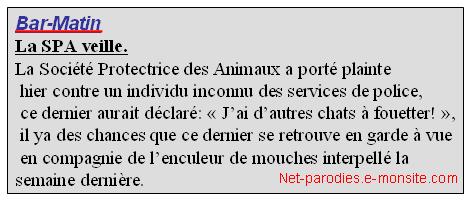 parodie faux article presse var matin.JPG