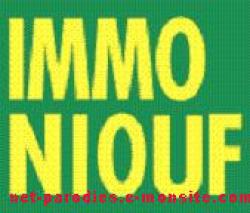 parodie fausse pub revue immoneuf.JPG