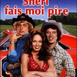 fausse affiche série sherif fais moi peur.jpg