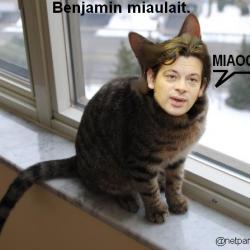 Benjamin miaulait