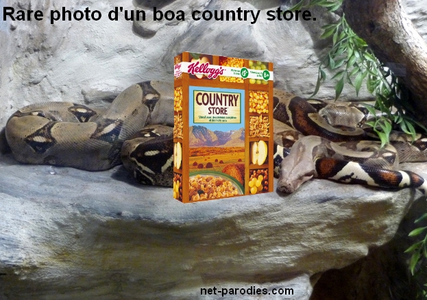 Boa country store