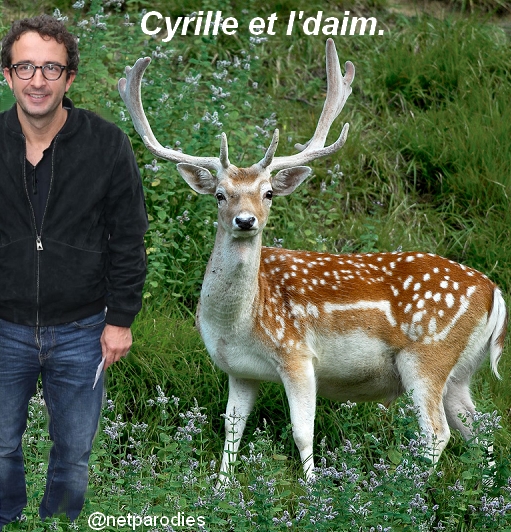 Cyrille et l daim
