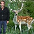 Cyrille eldin canal plus