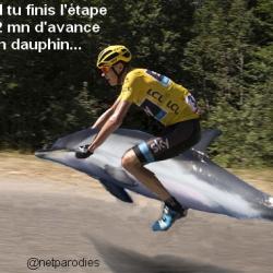 Dauphin2