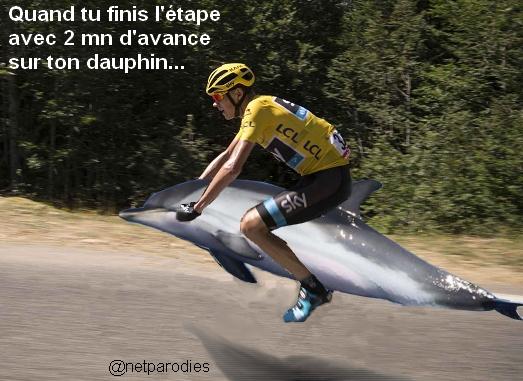 Dauphin2