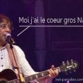 Image detournee chanteur laurent voulzy