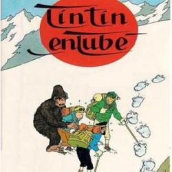 parodie-bande-dessinee-bd-tintin-au-tibet.jpg