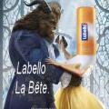 Parodie dessin anime la belle et la bete