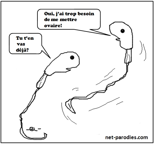 parodie-dessin-humouristique-spermatozoide1.jpg