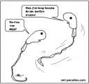 parodie-dessin-humouristique-spermatozoide1.jpg