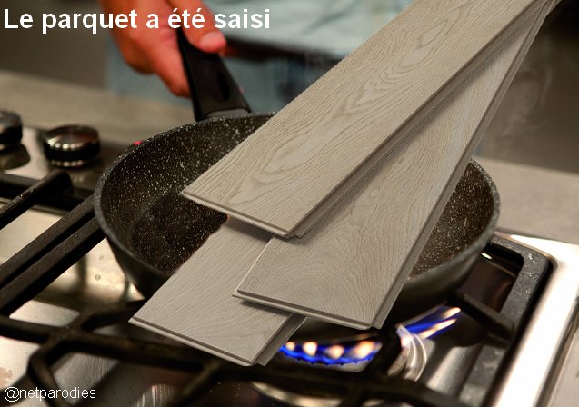 Parodie expression parquet saisi