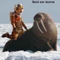 Parodie image detournee film seul sur mars