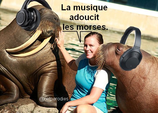 Parodie montage la musique adoucit les moeurs