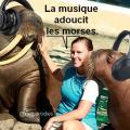 Parodie montage la musique adoucit les moeurs