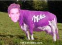 Parodie the voice mika